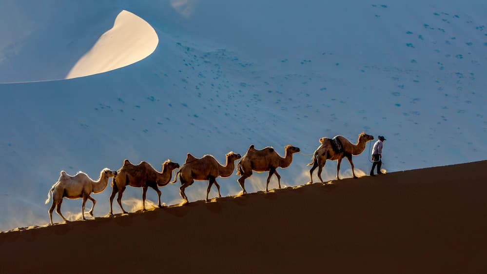 Golden Desert Caravan by Shin Woo Ryu — canvas wall art