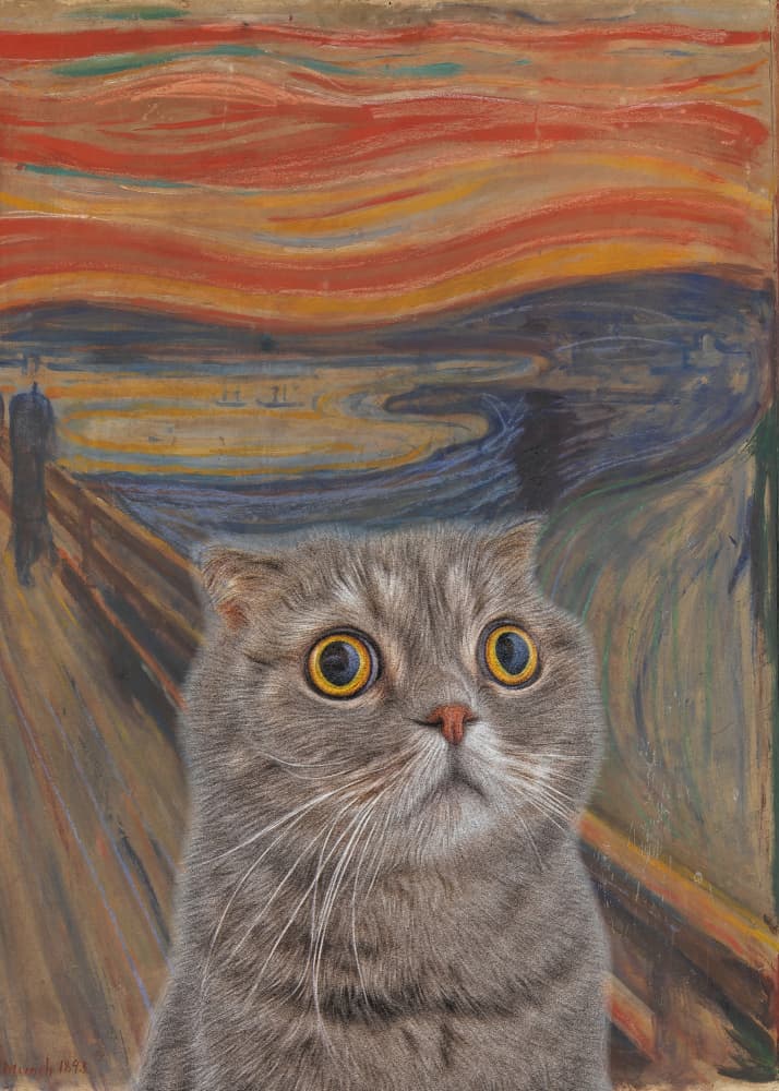 Surprised Cat Parody by Artelele — canvas wall art