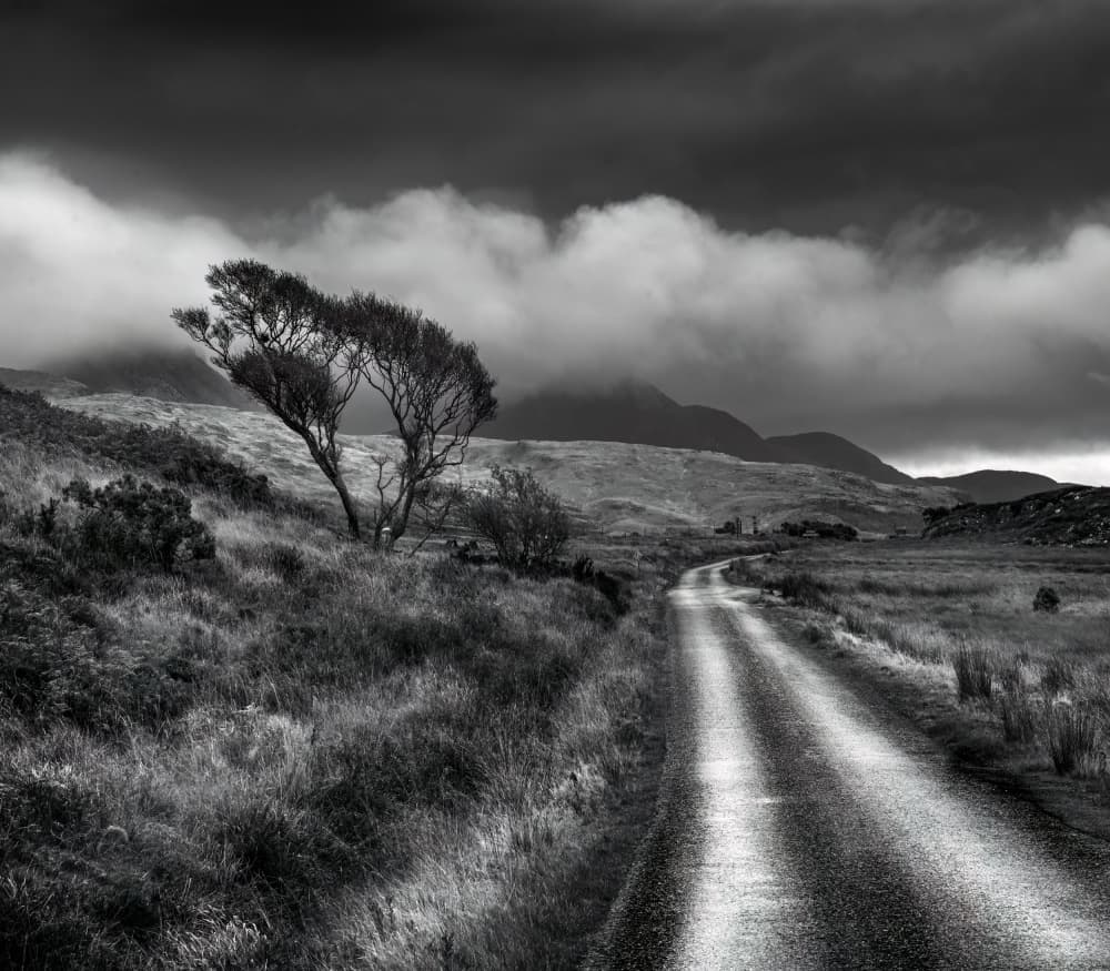 Moody Mountain Road by Peter Paterson — canvas wall art