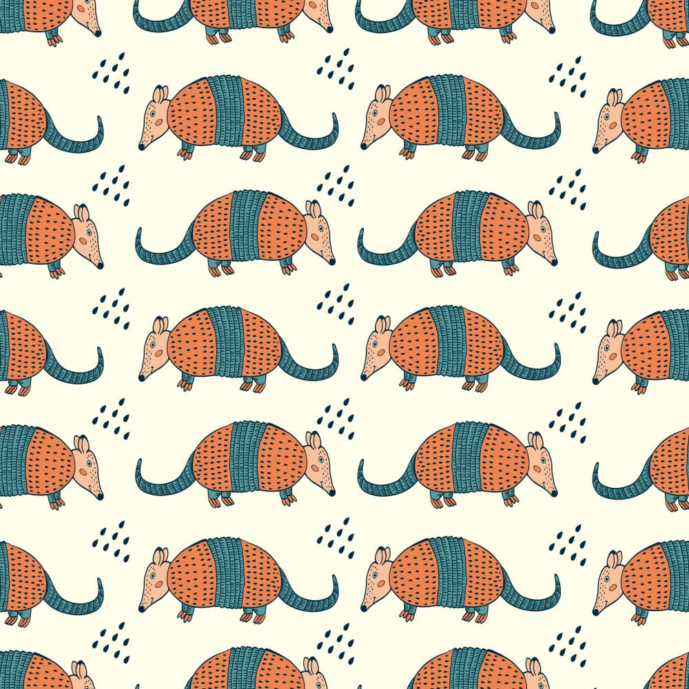Cute Armadillos by Olga Galeeva — canvas wall art