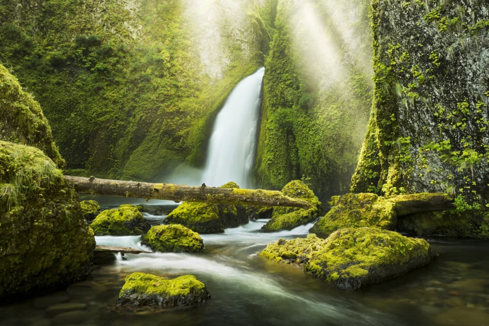 Green Gorge by Stefan Hefele — canvas wall art