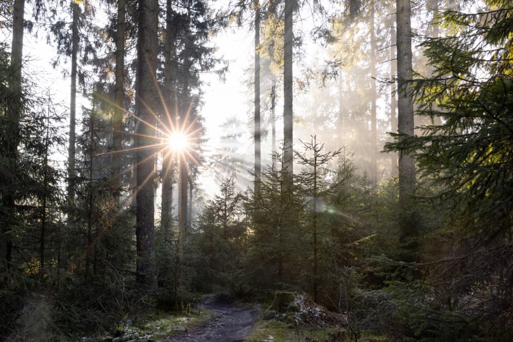 Hopeful Moments 2 by Mareike Böhmer — canvas wall art