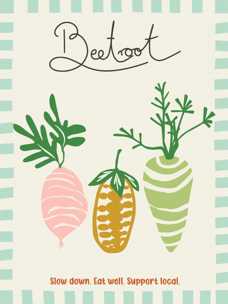 Beetroot Kitchen Illustration by Annick — canvas wall art