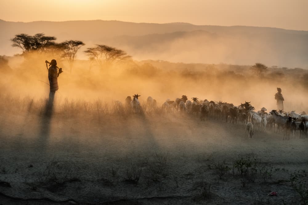 African Dust Herders by Trevor Cole — canvas wall art