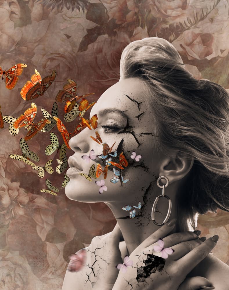 Fractured Butterfly Portrait by Purplesunshine — canvas wall art