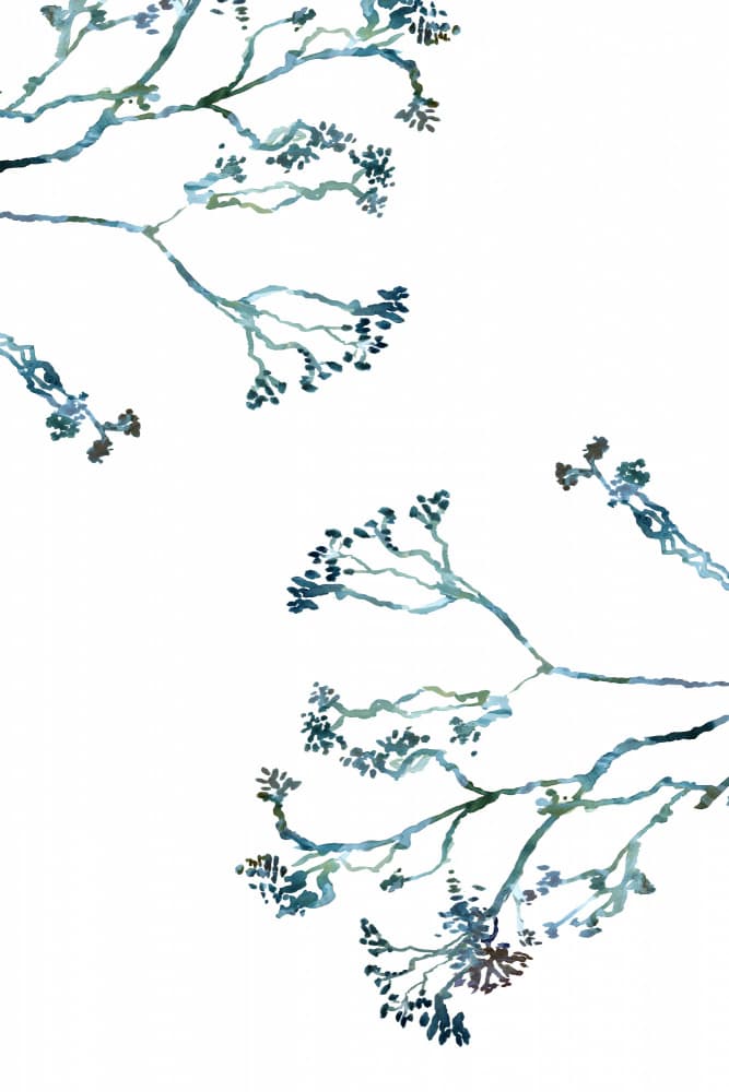 Delicate Winter Branches by cartissi — canvas wall art