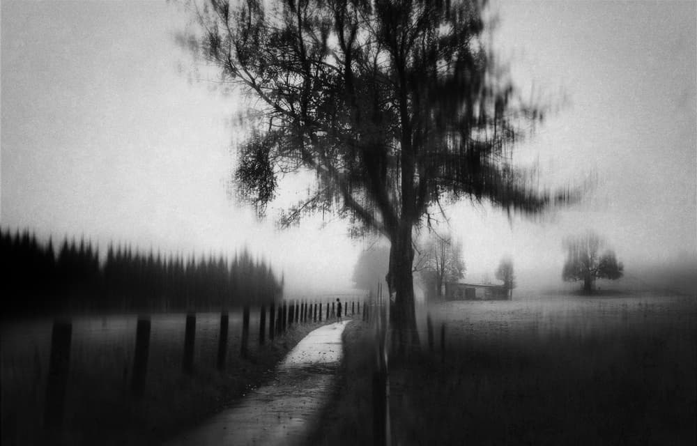 Solitary Walk Misty Landscape by Adam Dauria ☂ — canvas wall art