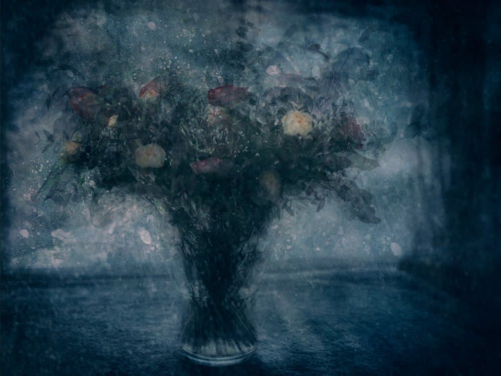 Dark Floral Still Life by Katarina Holmström — canvas wall art