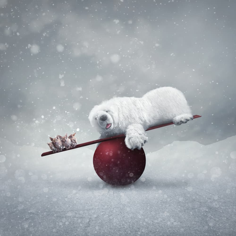 Whimsical Winter Balance by hardibudi — canvas wall art