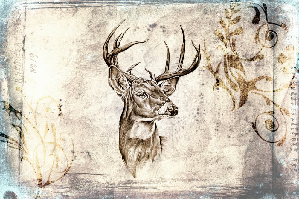 Rustic Deer Sketch by Rafal Kulik — canvas wall art