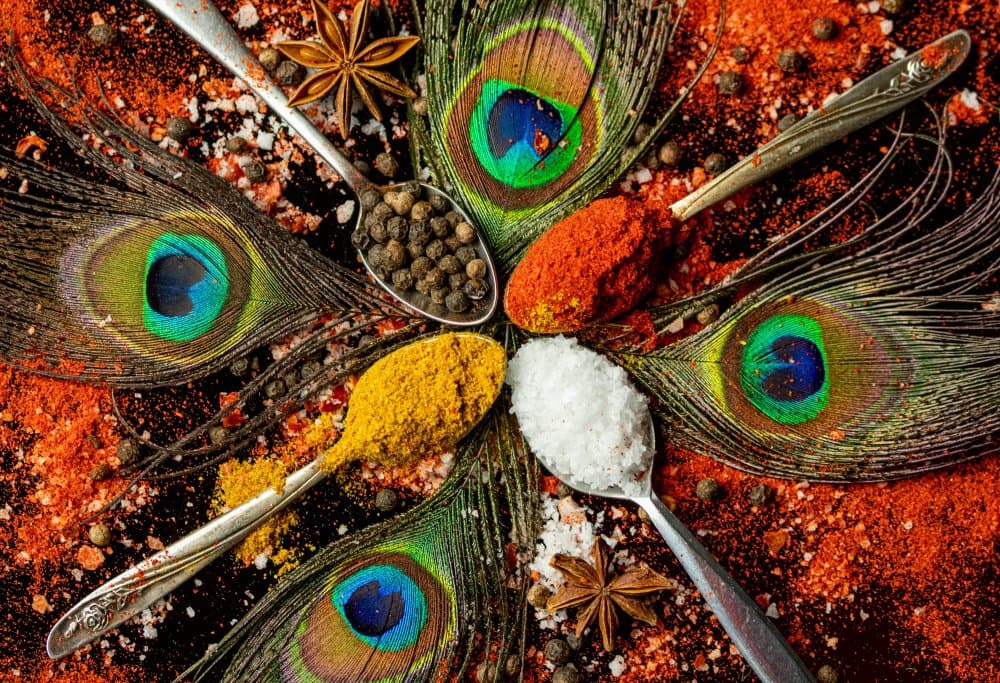 Colorful Spices and Feathers by Danny Mendoza — canvas wall art