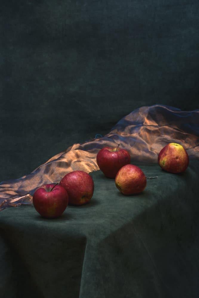 Moody Red Apples by Brig Barkow — canvas wall art