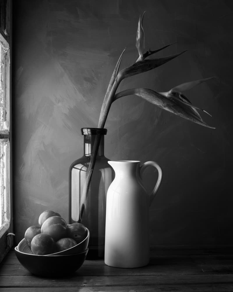 Bird of Paradise Still Life by Luiz Laercio — canvas wall art
