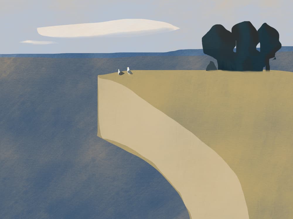 Seagulls On Cliff by Little Dean — canvas wall art