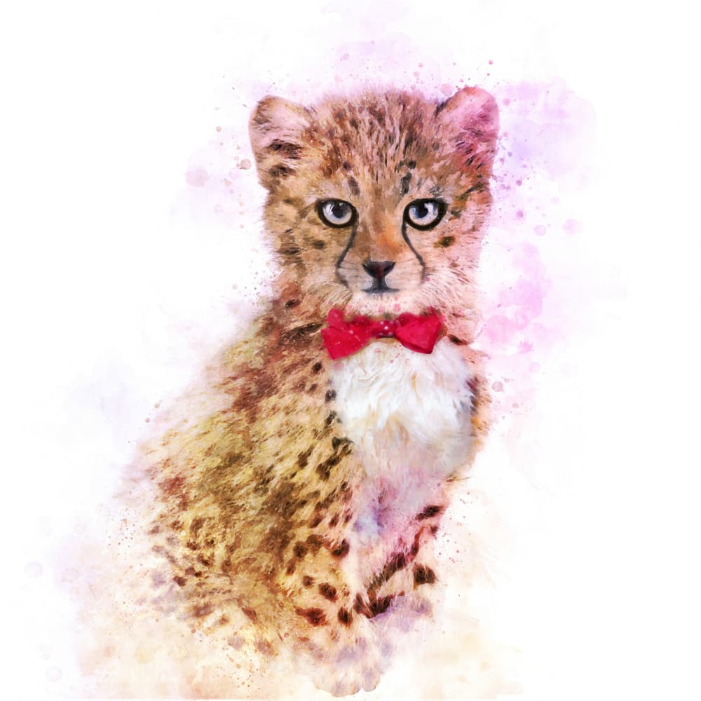 Dapper Cheetah Cub by Emel Tunaboylu — canvas wall art