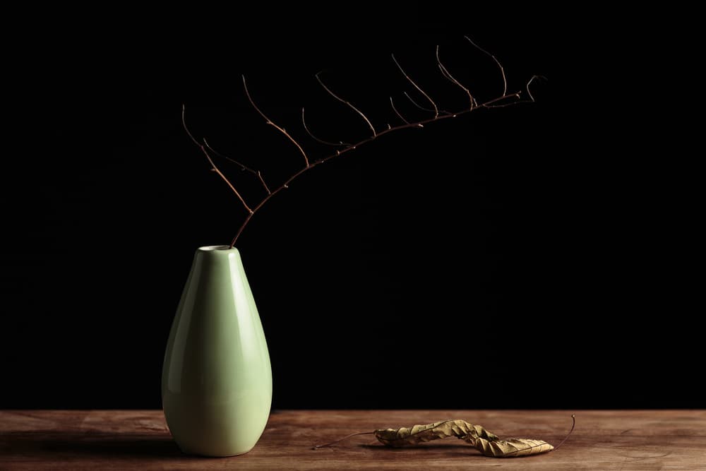 Minimalist Branch Still Life by Dusan Ljubicic — canvas wall art