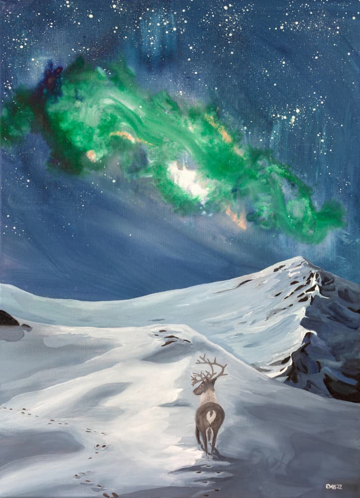 Reindeer Under Aurora Sky by EMELIEmaria — canvas wall art