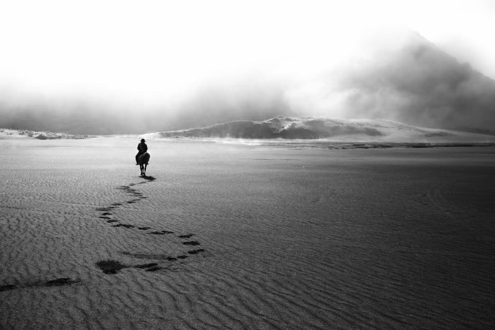 Lone Rider's Path by Aman Ali Surachman — canvas wall art