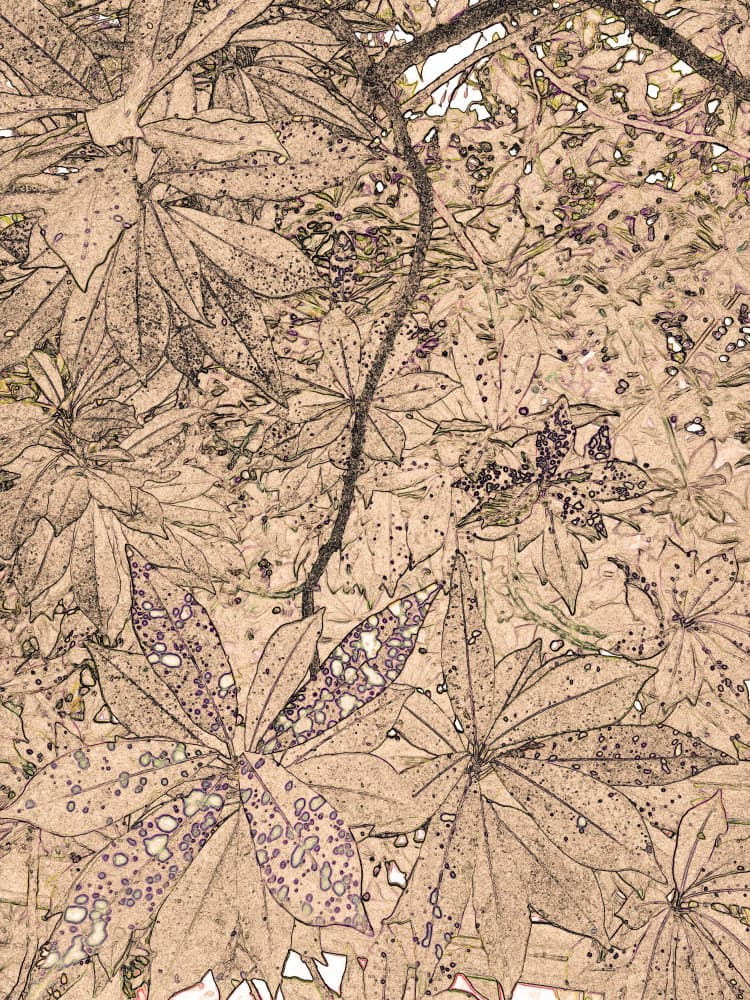 Artistic Botanical Sketch by Santhosh ch — canvas wall art