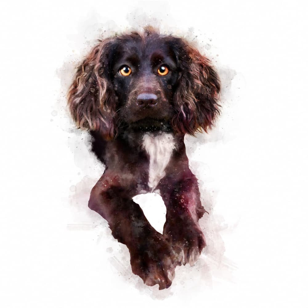 Gentle Gaze by Emel Tunaboylu — canvas wall art