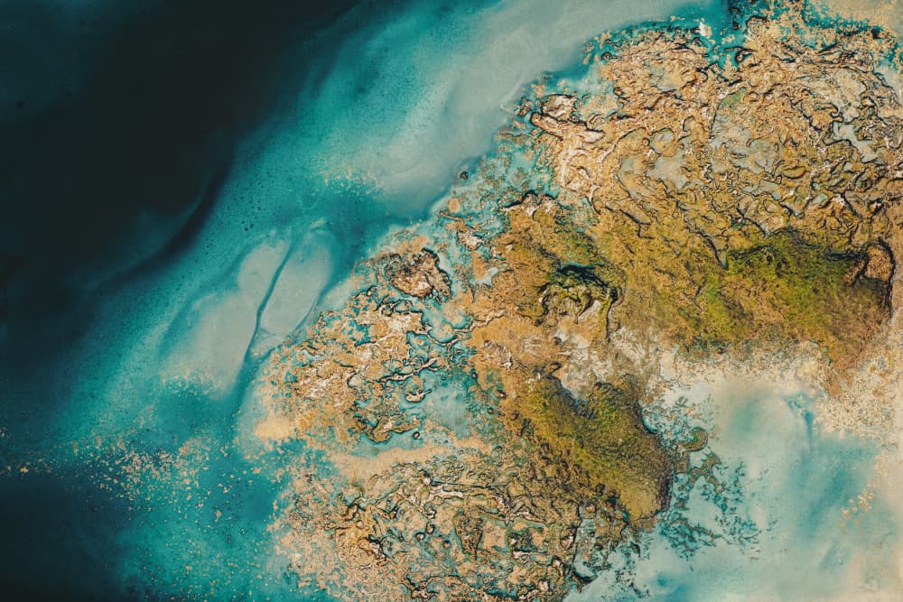 Planet Earth - Sphere Bound by Petra Meikle de Vlas — canvas wall art