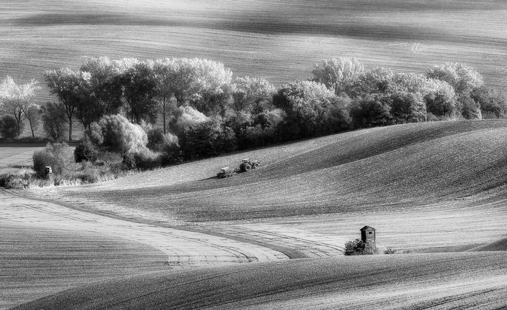 Rolling Farm Hills by Piotr Krol (Bax) — canvas wall art