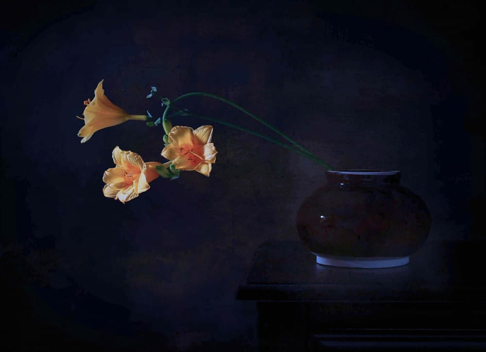 Dark Floral Glow by Fangping Zhou — canvas wall art