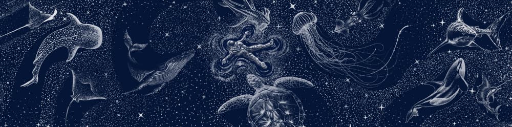 Cosmic Ocean Dream by Alirıza ÇAKIR — canvas wall art