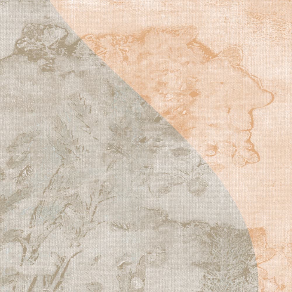Muted Botanical Curve by Dina Dankers — canvas wall art