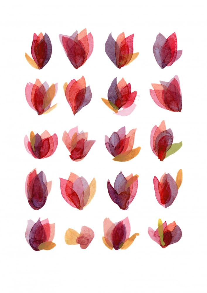Vibrant Watercolor Botanicals by Louise van Terheijden — canvas wall art