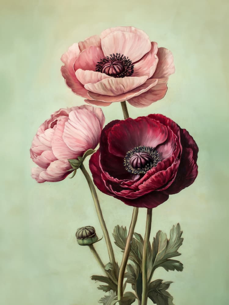 Pink and Red Blooms by Annika Persson — canvas wall art