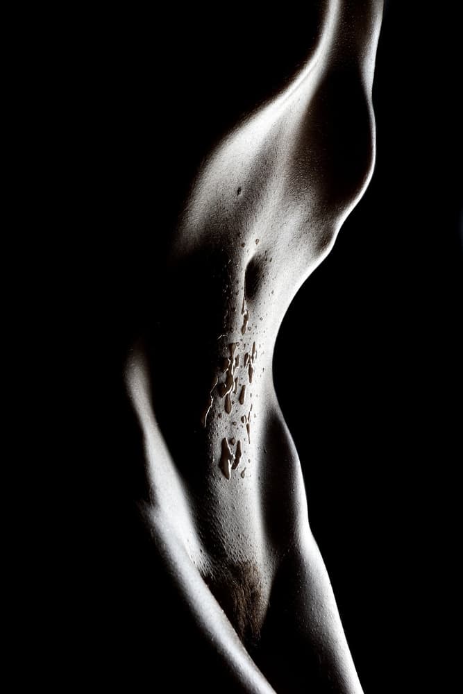 Sensual Female Form by Olga Mest — canvas wall art