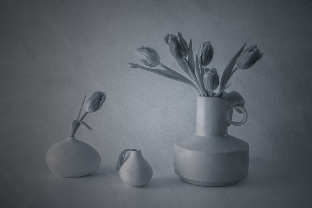 Moody Still Life Tulips by May G — canvas wall art