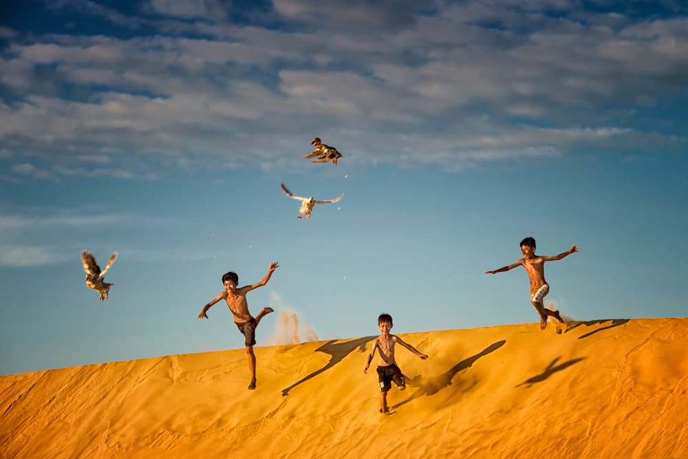 Playful Boys Flying Ducks by Burak Senbak — canvas wall art