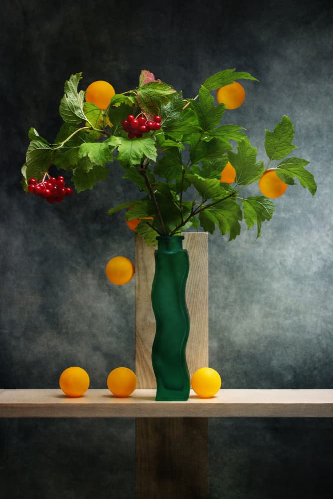 Modern Still Life Fruits by Brig Barkow — canvas wall art