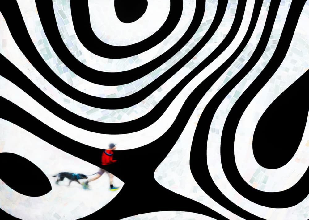 Abstract Striped Dog Walk by Shenshen Dou — canvas wall art
