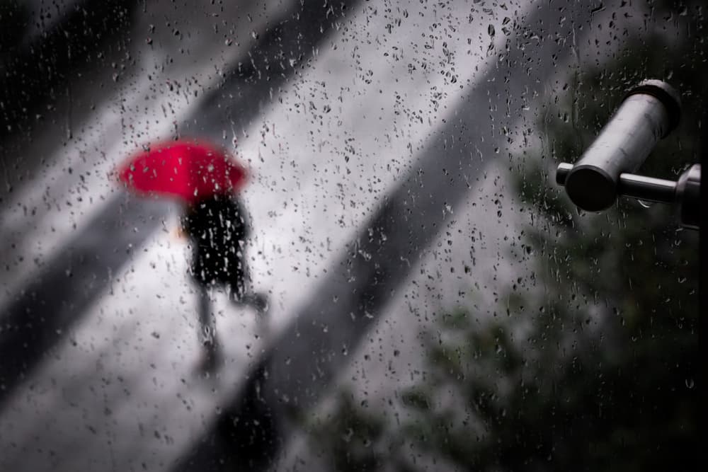 Red Umbrella Rain by Fengshou . Lin 林峰守 — canvas wall art