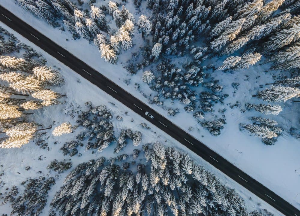 Winter Road Through Forest by Jakob Remar — canvas wall art