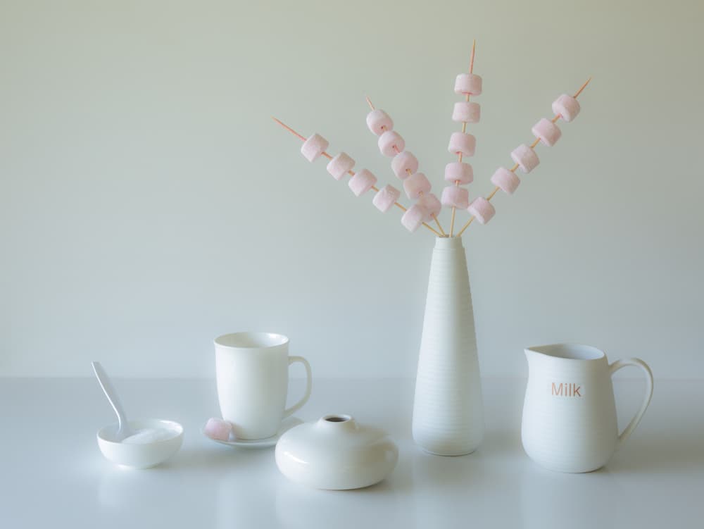 Pink Marshmallow Still Life by Jacqueline Hammer — canvas wall art
