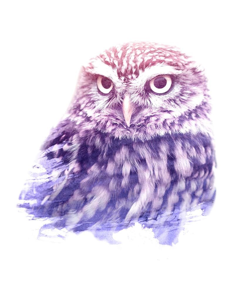 Ethereal Owl Portrait by Emiliano Deificus — canvas wall art
