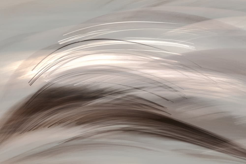 Flowing Abstract Light by Christina Sillen — canvas wall art