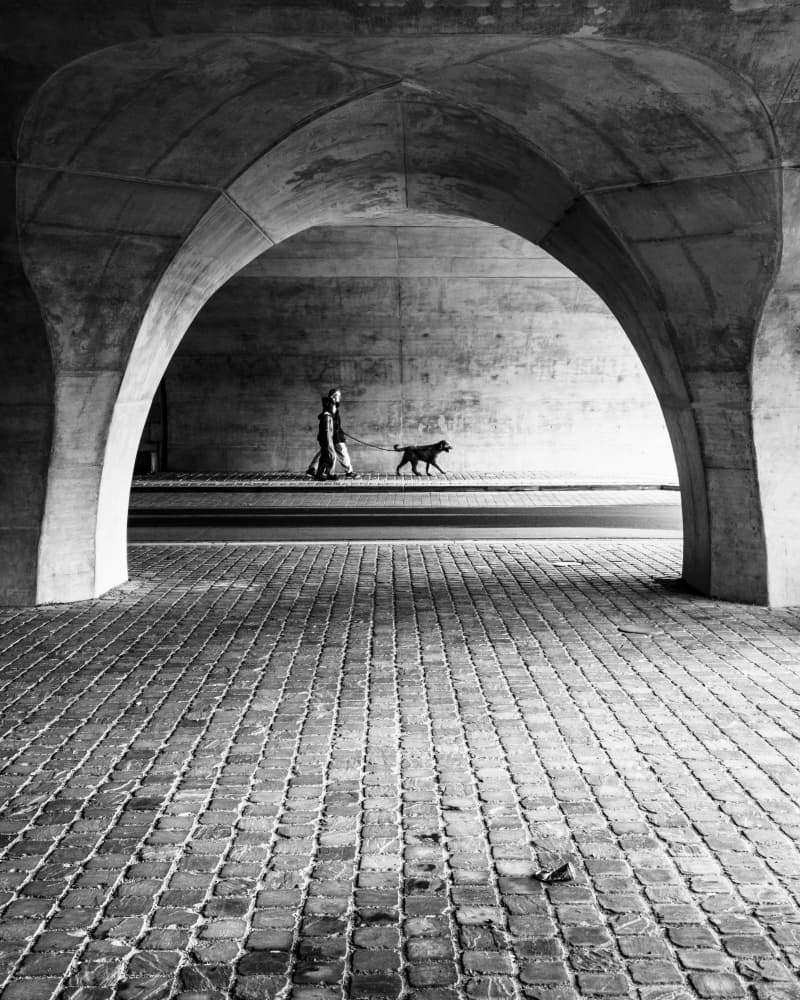 Dog Walk Under Arch by Sofie Steenhoudt — canvas wall art