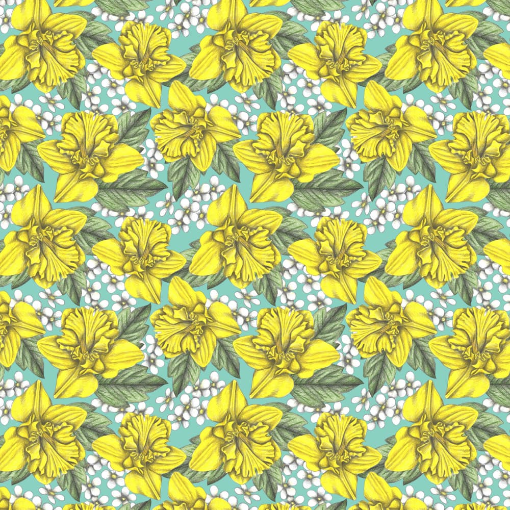 Cheerful Daffodil Blooms by Cecilia Battaini — canvas wall art