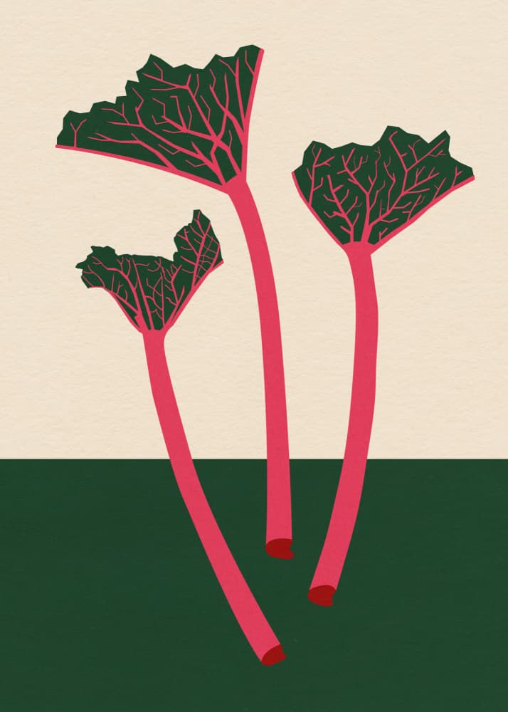 Swedish Garden Rhabarber by Rosi Feist — canvas wall art