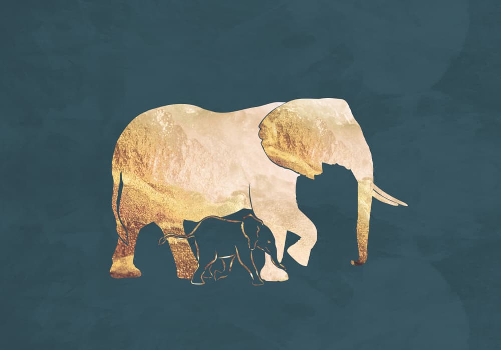 Golden Elephant Family by Sarah Manovski — canvas wall art