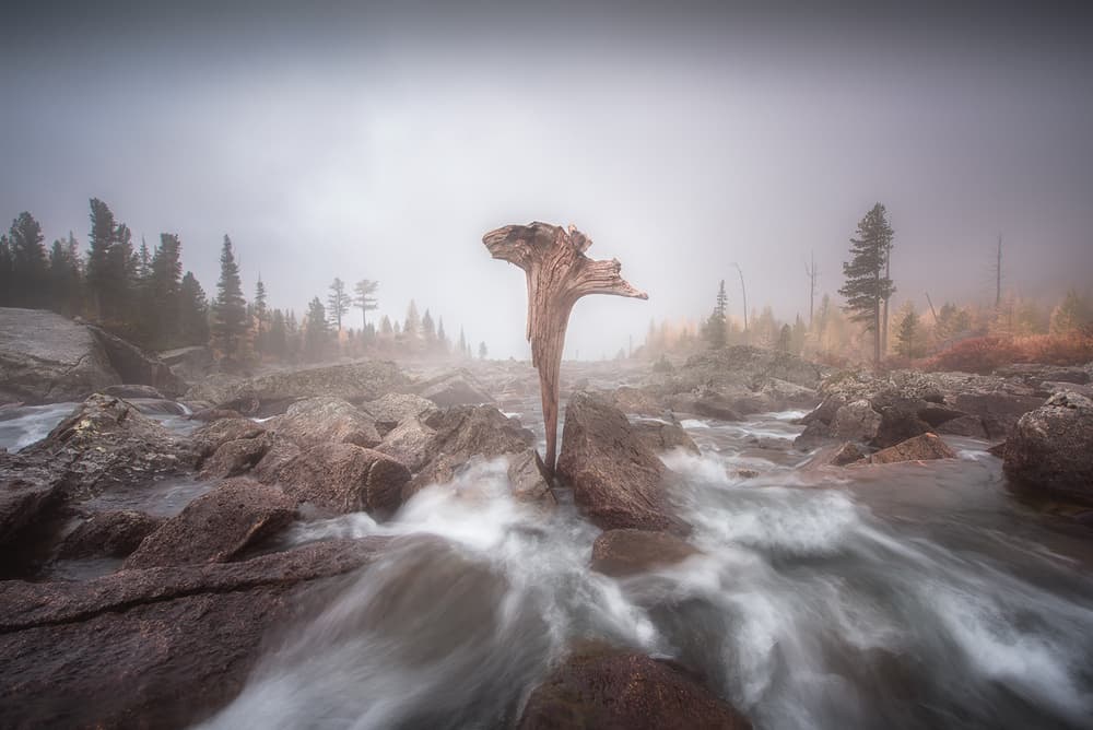 Misty River Driftwood by Rostovskiy Anton — canvas wall art