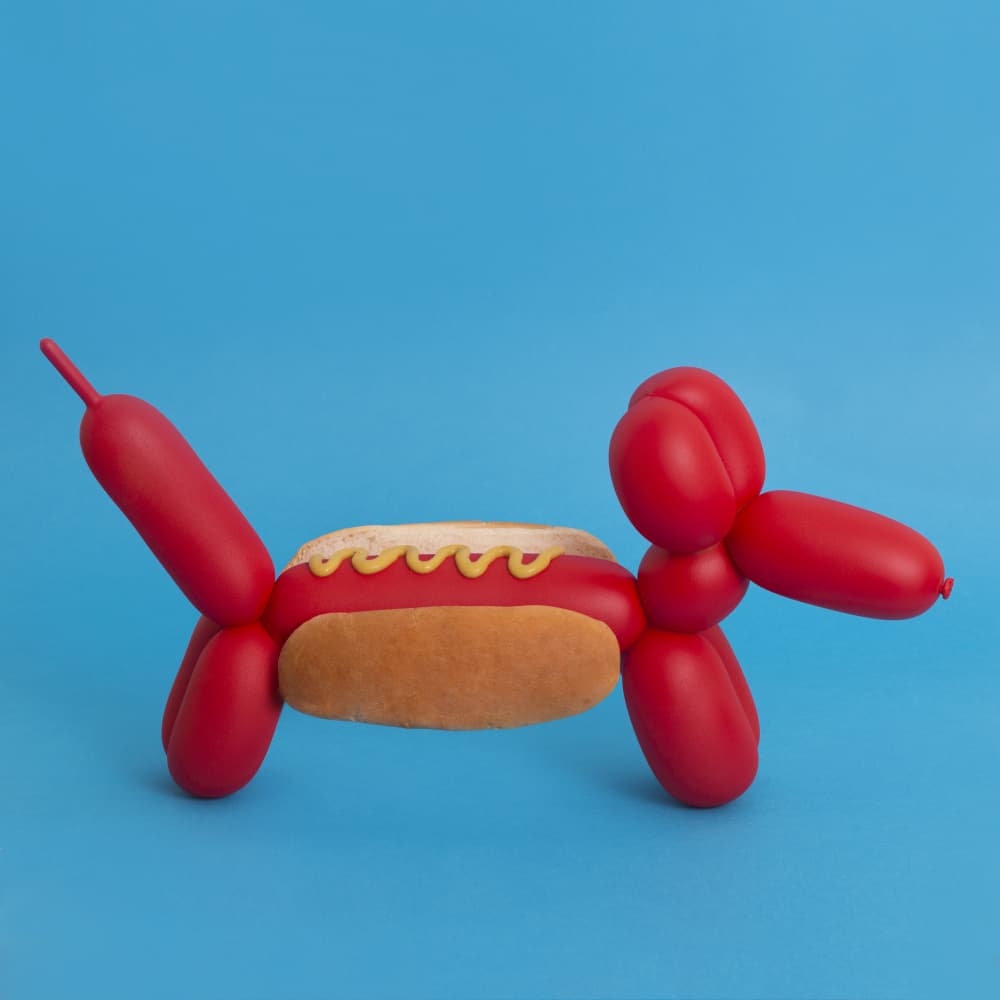 Balloon Dog Hot Dog by Julia Ramiro — canvas wall art