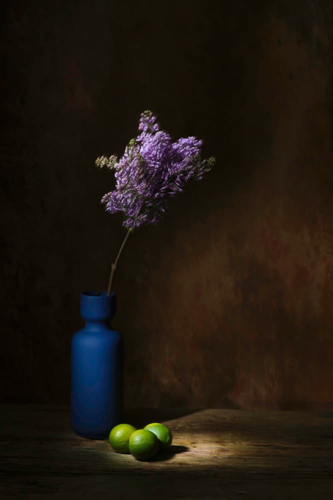 Moody Lilac Limes by Saskia Dingemans — canvas wall art