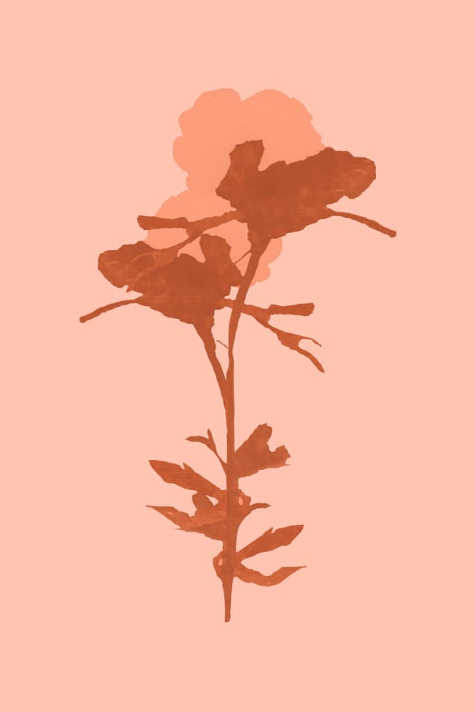 Warm Botanical Bloom by cartissi — canvas wall art
