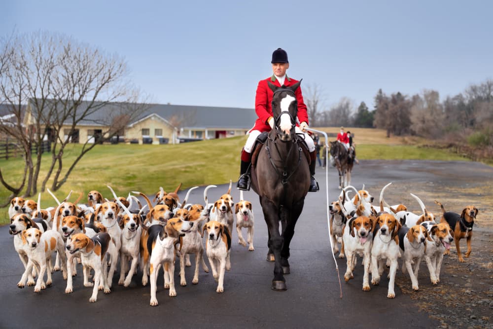 Red Coat Fox Hunt by Catherine Wang — canvas wall art